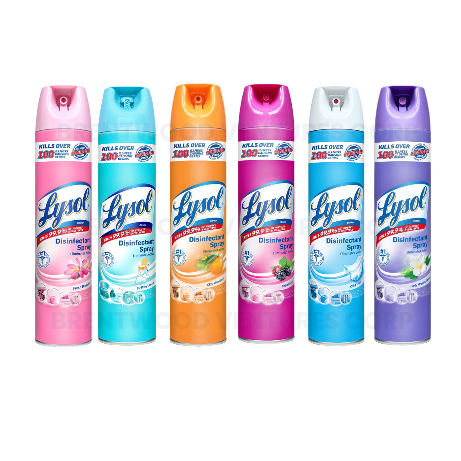 Lysol DISINFECTANT SPRAY 340g